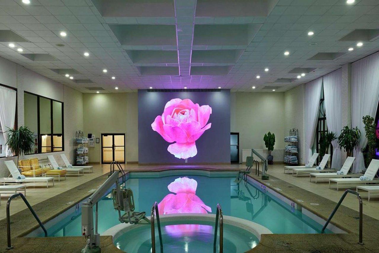 Hilton Westchester Rye Brook Экстерьер фото